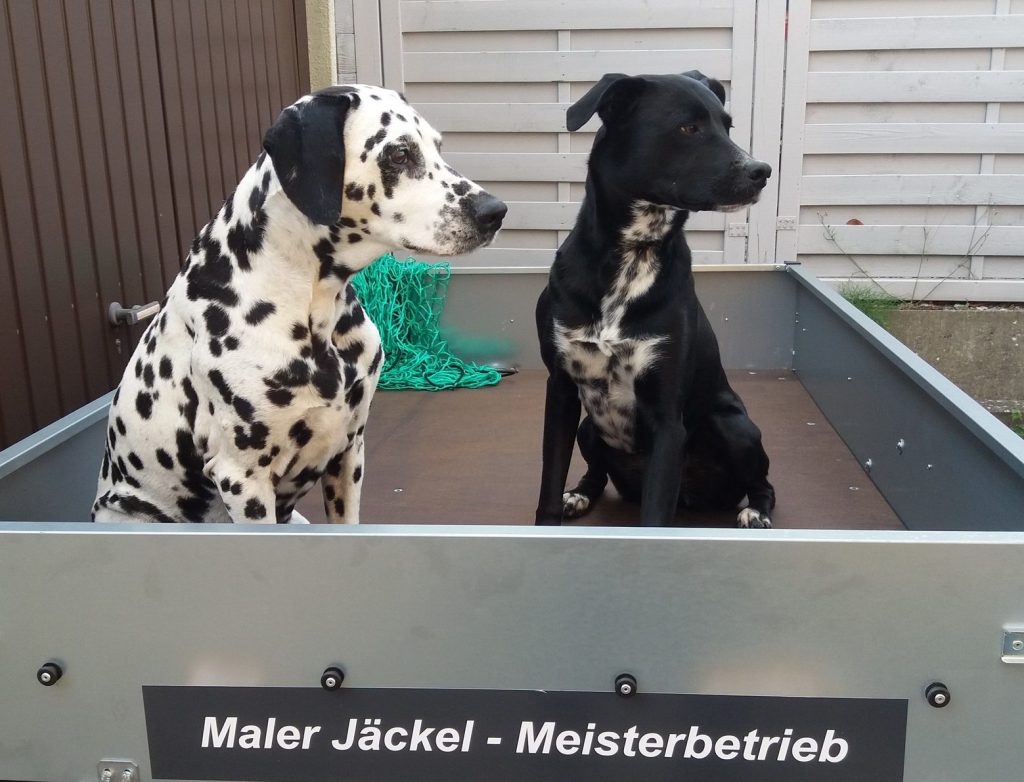 Maler Jäckel - Meisterbetrieb